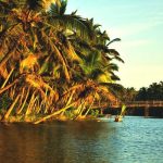 Kappil Backwaters – A Tranquil Escape in Kerala’s Coastal Paradise