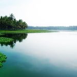 Akkulam Backwaters