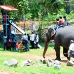 Konni Elephant Training Center: Tourist Places to Visit