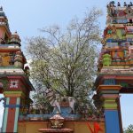 The Oachira Parabrahma Temple: Tourist Places to Visit