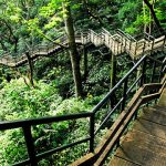 Thenmala: India’s First Planned Eco-Tourism Destination-Tourist Places to Visit
