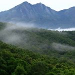 Tourist places to visit in Silent Valley National Park